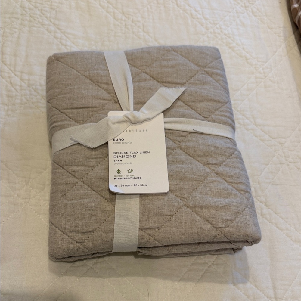 Pottery Barn Belgian Flax Linen Euro Sham in Flax